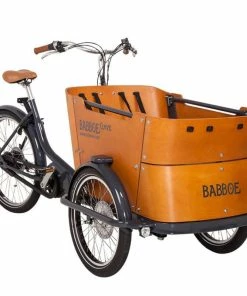 Découvrez Le Vélo Cargo électrique Babboe Curve Mountain Sur Cyclable