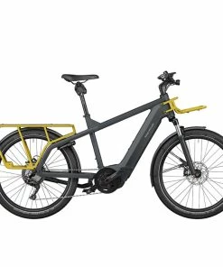 Riese Und Müller Vélo Cargo Riese & Müller Multicharger GT 750 - Cyclable